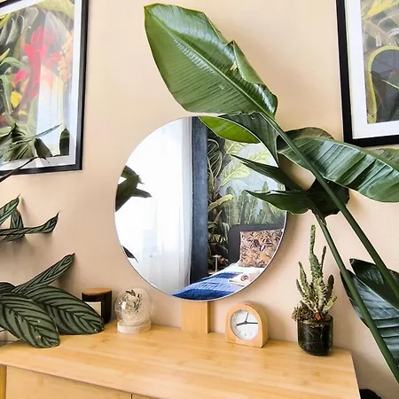 Διαμέρισμα Botanica *