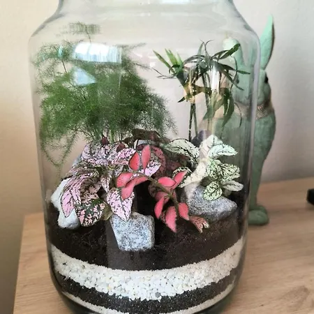 Botanica Apartment *