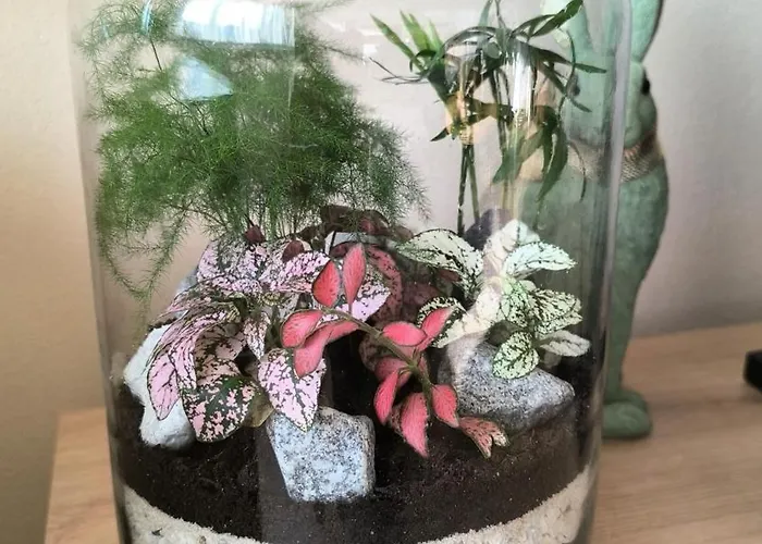 Botanica 아파트 *