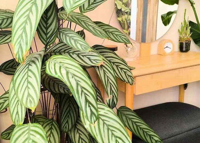 Botanica Appartement *